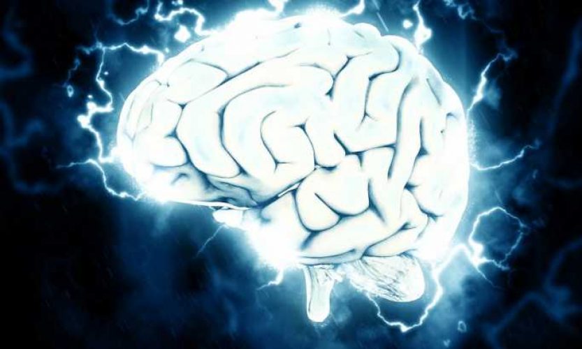 Srpski um briljira na globalnoj mapi inteligencije