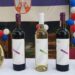 Od tradicije do stipendija: Uspešno predstavljanje Srbije u Angoli